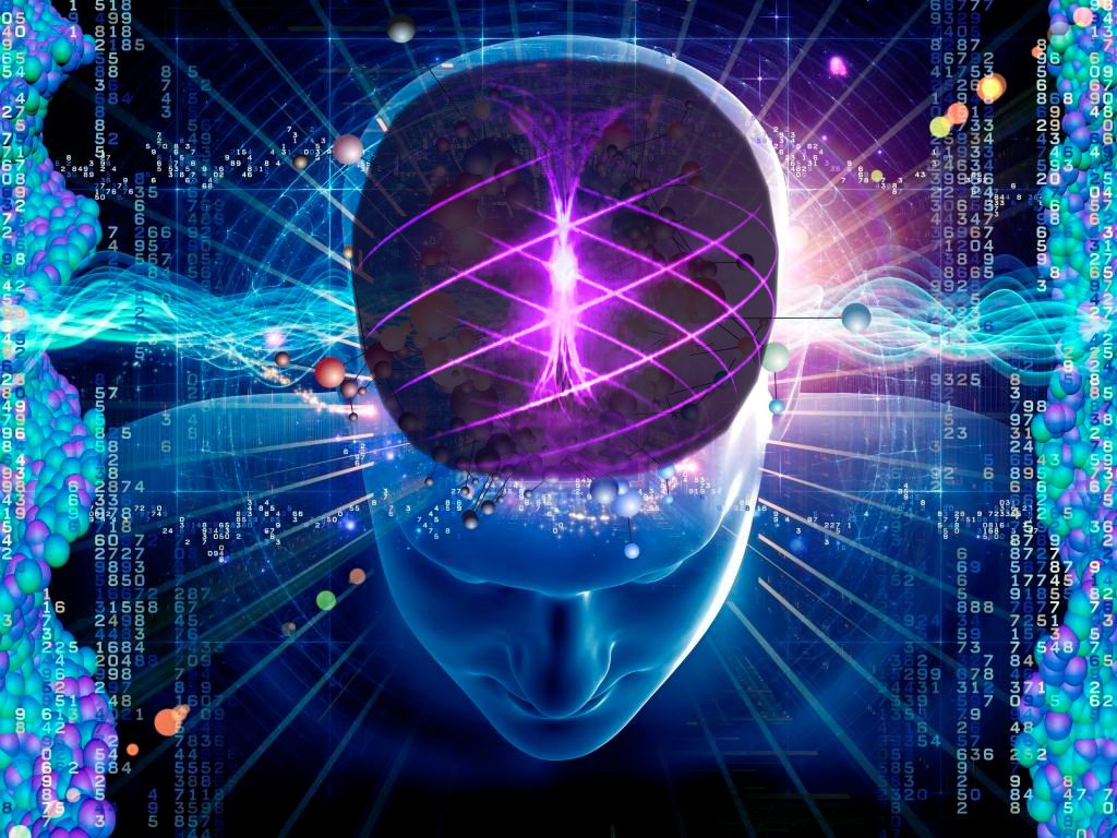 Can A Person Build A Quantum Laptop Can A Person Build A Quantum Laptop